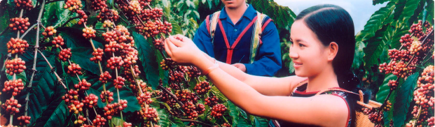 Nông nghiệp